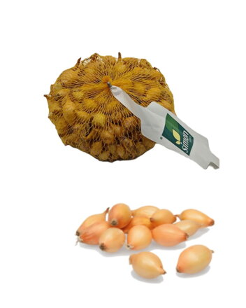 Cibuľa sadzačka Cupido frakcia:8-21 250g