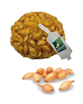 Cibuľa sadzačka Všetana frakcia: 8-21 500g
