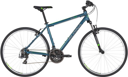 bicykel ALPINA ECO C20