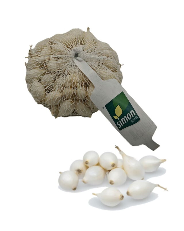 Cibuľa sadzačka White globe frakcia: 8-21 250g