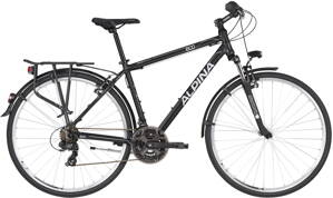 bicykel ALPINA ECO T10 GREY