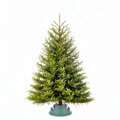 Vianočná kaukazská jedľa Premium - L