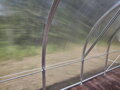 skleník VITAVIA BOHEMY 24000 PC 4 mm LG4180