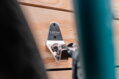 LEZYNE držiak na stenu nerezový, PEDAL HOOK-SILVER