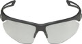 ALPINA Okuliare NYLOS HR black-transparent matt