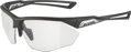 ALPINA Okuliare NYLOS HR black-transparent matt
