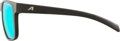 ALPINA Okuliare NACAN III coffe-grey matt