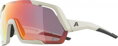 ALPINA Okuliare ROCKET QV cool-grey mat