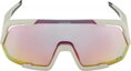 ALPINA Okuliare ROCKET QV cool-grey mat