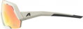 ALPINA Okuliare ROCKET QV cool-grey mat