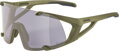 ALPINA Okuliare HAWKEYE olive-matt Q-LITE V
