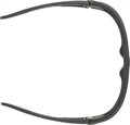 ALPINA Cyklistické okuliare LEGEND Q-Lite čierne mat