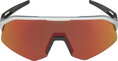 ALPINA Okuliare SONIC HR aluminum matt Q-LITE red