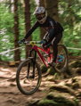 MARIN Alpine Trail XR GX AXS 29/27.5, fialová/modrá/čierna