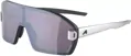 ALPINA Okuliare BONFIRE MAG black-alu matt Q+black