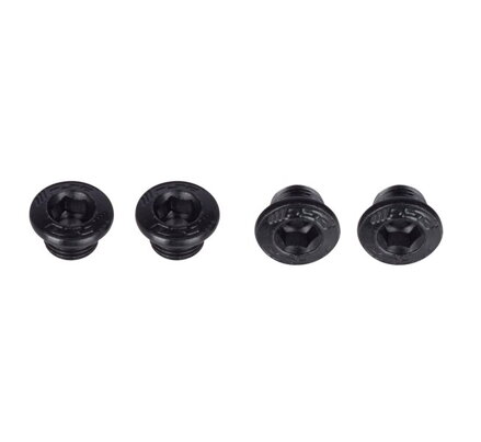FSA  skrutka kľuky oceľová čierna  6mm ML138 10B21 (1ks)