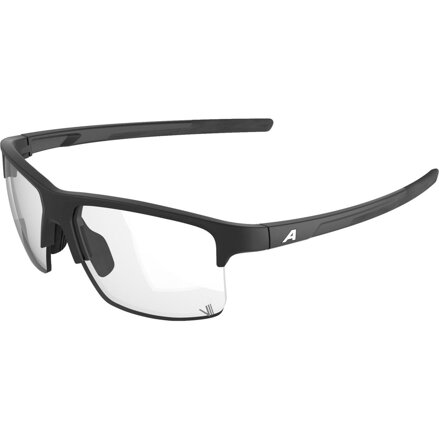 ALPINA športové slnečné okuliare EAGLE V