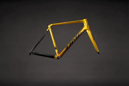 TIME Rám ALPE D’HUEZ DISC brilliant gold