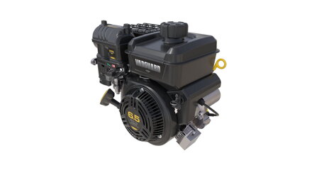 Motor Vanguard 200 - 6,5 HP