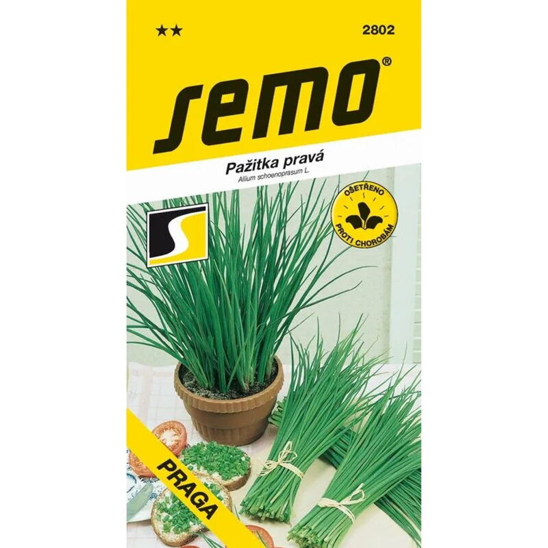 Pažítka pravá - Praga 1,8 g