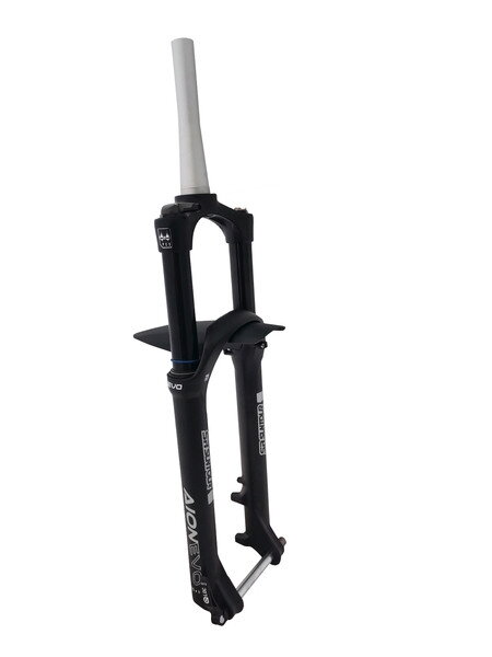 Vidl.odpr.Suntour AION35-EVO-Boost RLR-PCS DS 29",15x110mm/L:191, (OEM)
