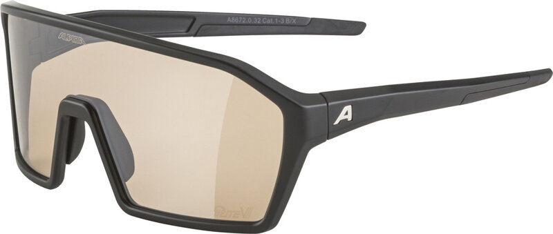 ALPINA Cyklistické okuliare RAM Q-Lite V silver